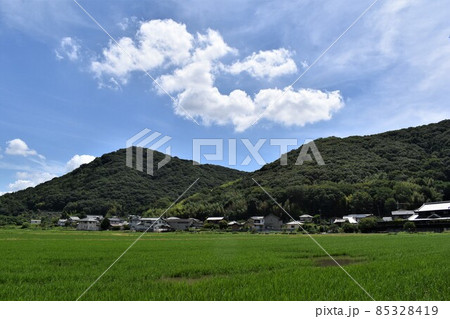 浮かぶ雲と新緑の山と田園と民家のある風景 85328419