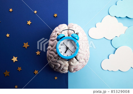 The circadian rhythms are controlled by circadian clocks or biological clock 85329008