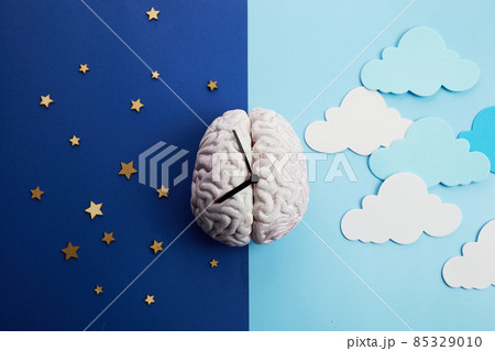 The circadian rhythms are controlled by circadian clocks or biological clock 85329010