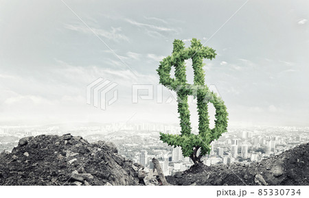 Right investment for getting income 85330734