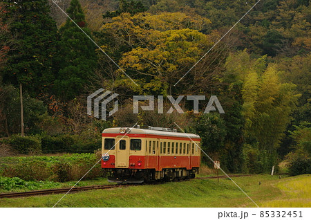 いすみ鉄道 晩秋を走る急行いよ キハ52 いすみ鉄道 晩秋を走る急行いよ キハ52 85332451