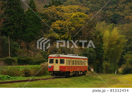 いすみ鉄道 晩秋を走る急行いよ キハ52 2 いすみ鉄道 晩秋を走る急行いよ キハ52 2 85332454
