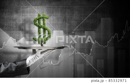 Hand of waitress presenting dollar sign on tray. 85332971