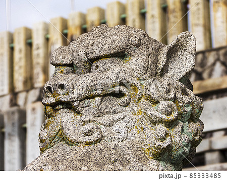 犬山成田山の狛獅子 85333485