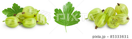 Green gooseberry isolated on white background. Set or collection Green gooseberry isolated on white background. Set or collection 85333631