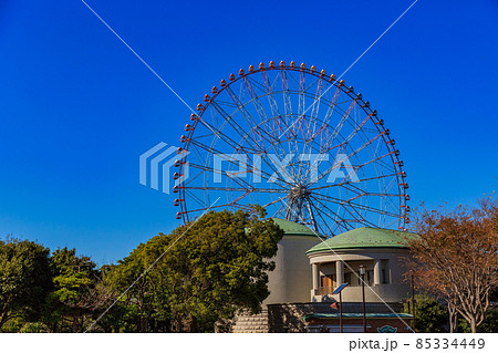 東京 江戸川区 葛西臨海公園 ダイヤと花の大観覧車 東京 江戸川区 葛西臨海公園 ダイヤと花の大観覧車 85334449