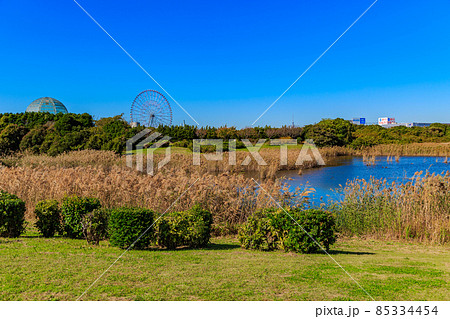 東京 江戸川区 葛西臨海公園 鳥類園 東京 江戸川区 葛西臨海公園 鳥類園 85334454