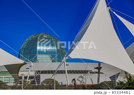 東京　江戸川区　葛西臨海公園　葛西臨海水族園 85334461