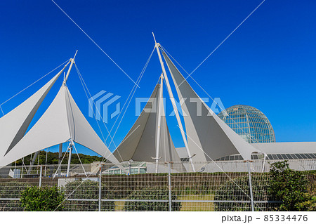 東京　江戸川区　葛西臨海公園　葛西臨海水族園 85334476