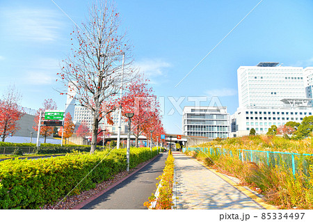 つどい橋／シンボルプロムナード公園方面を望む(東京都江東区)【2021.12】 85334497