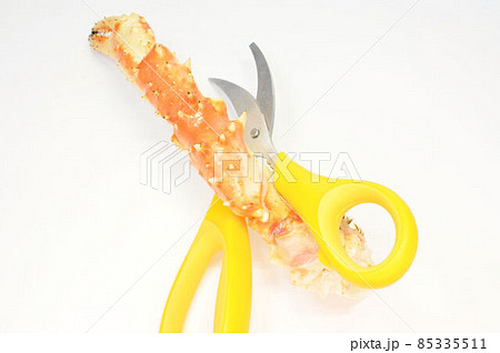 タラバガニとカニ専用ばさみ タラバガニとカニ専用ばさみ 85335511