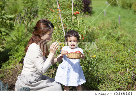 家庭菜園を楽しむ親子 85336131