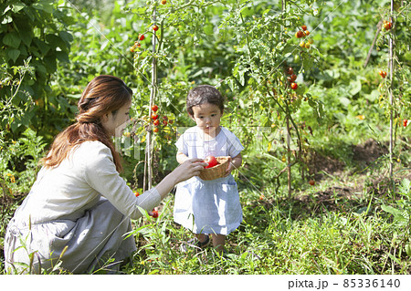 家庭菜園を楽しむ親子 85336140