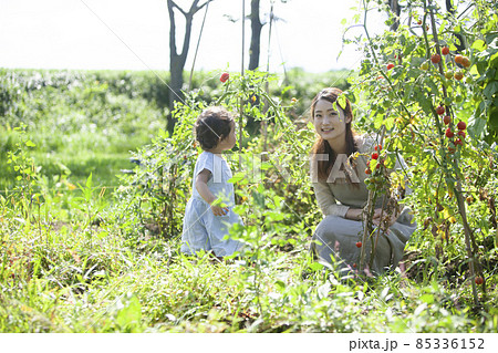 家庭菜園を楽しむ親子 85336152