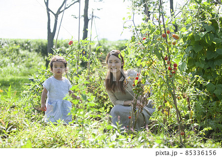 家庭菜園を楽しむ親子 85336156