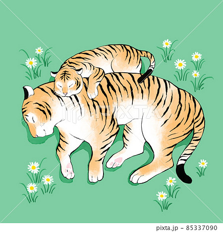 2022 year of tiger, two tigers taking a nap inのイラスト素材