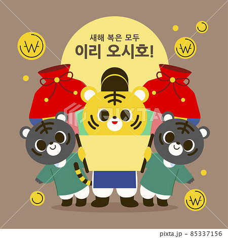 new year lucky bag and tiger characters new year lucky bag and tiger characters 85337156