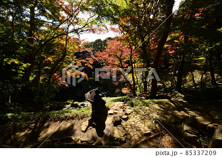 都立殿ヶ谷戸公園の紅葉 国分寺市 都立殿ヶ谷戸公園の紅葉 国分寺市 85337209