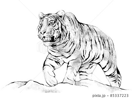 oriental ink painting of tiger 85337223
