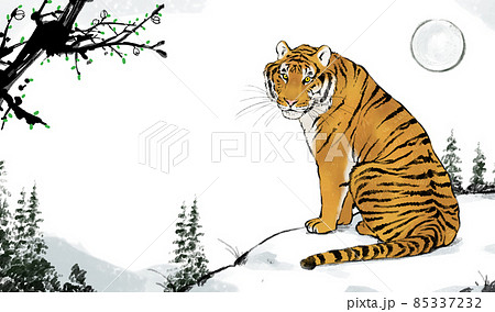 oriental ink painting of tigerのイラスト素材 [85337232] - PIXTA