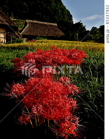 八塔寺ふるさと村の風景 八塔寺ふるさと村の風景 85337932