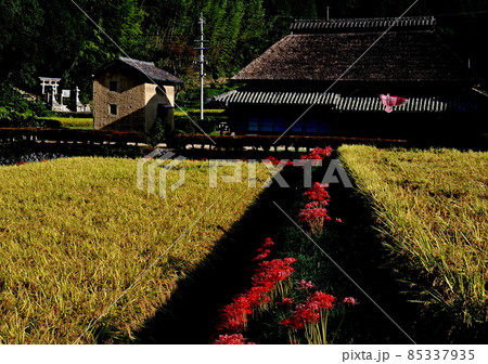 八塔寺ふるさと村の風景 85337935