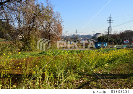 八王子 堀之内の里山の秋はこんな感じです 八王子 堀之内の里山の秋はこんな感じです 85338152