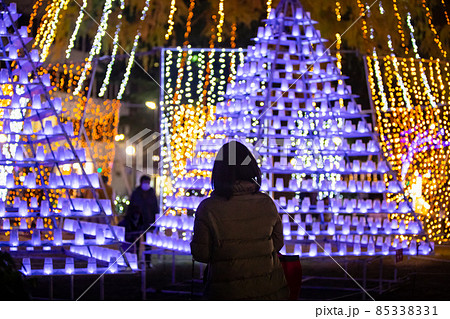 広島ドリミネーション祭りの風景です。イルミネーション祭りです。 85338331