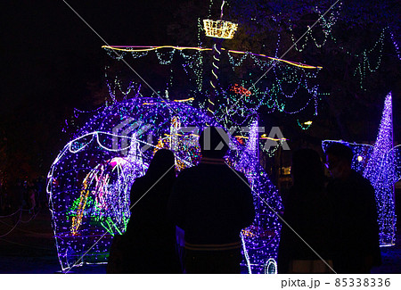 広島ドリミネーション祭りの風景です。イルミネーション祭りです。 85338336