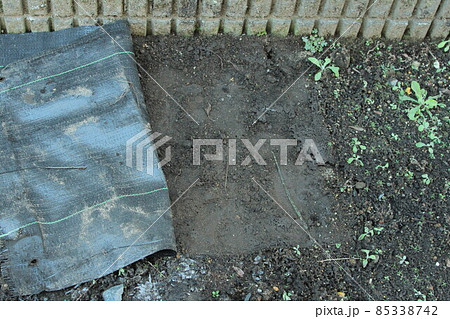 防草シート 85338742