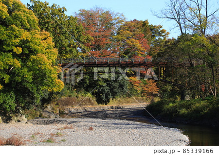 紅葉の日高市巾着田にて(あいあい橋) 紅葉の日高市巾着田にて(あいあい橋) 85339166