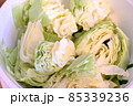 キャベツ（ボール） 85339236