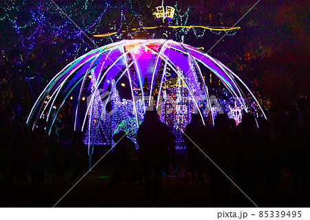 広島ドリミネーション祭りの風景です。イルミネーション祭りです。 85339495