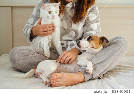 Caucasian woman holding a white fluffy cat and Jack Russell Terrier dog while sitting on the bed. The red-haired girl hugs with pets. 85340931