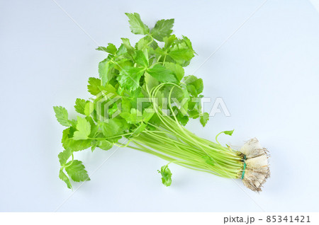 糸三つ葉、みつば、食材、香味野菜。 85341421