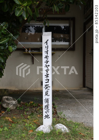 イリオモテヤマネコ発見捕獲の地（舟浮集落） 85342103