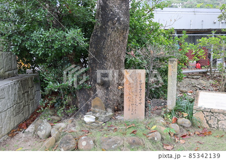 カマドマのクバデサ（舟浮集落） 85342139