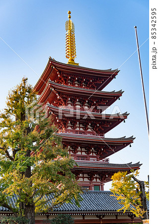 浅草浅草寺五重塔 浅草浅草寺五重塔 85342595