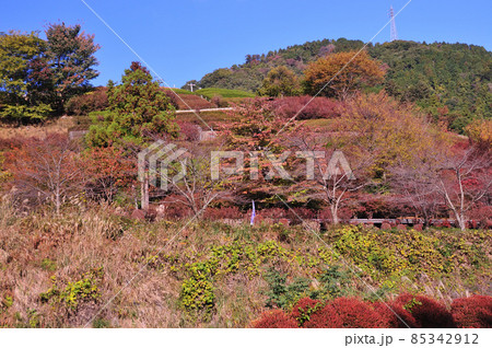 秋の宮ケ瀬湖周辺・神奈川県愛甲郡 85342912
