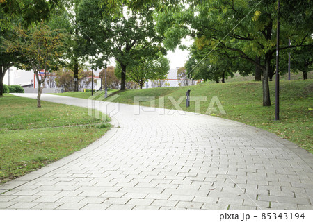 背景素材　郊外の公園のカーブする遊歩道 85343194