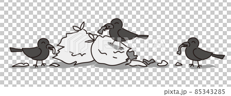Three crows breaking a trash bag and cluttering 85343285