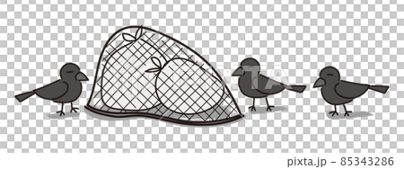 Three crows looking at the trash in front of the trash net 85343286