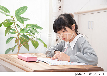 勉強をする小学生の女の子 85343761