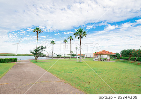 竜洋海洋公園 オートキャンプ場 85344309