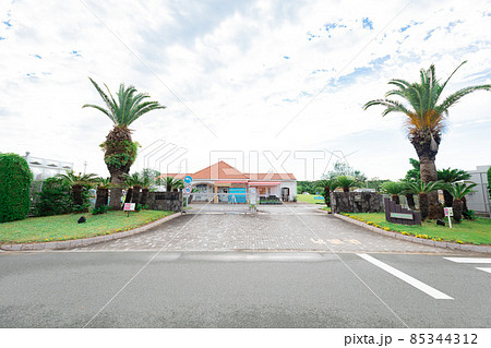 竜洋海洋公園 オートキャンプ場 85344312