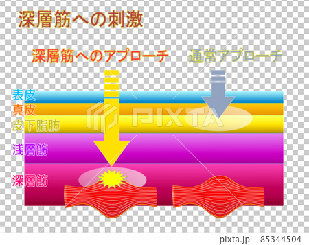 Homepage for treatment clinic Explanation material 43 85344504