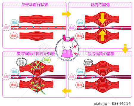血行状態の比較1 85344514