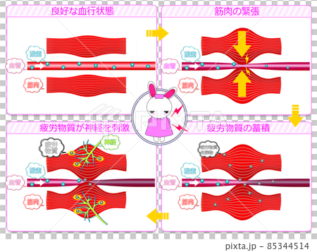 血液循環狀態比較1 血液循環狀態比較1 85344514