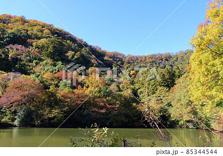 上り坂の手前から山を眺める 風景 秋 上り坂の手前から山を眺める 風景 秋 85344544