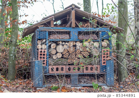 Logs to attract insects, at Reddish Vale Country park, Stockport, UK. 85344891